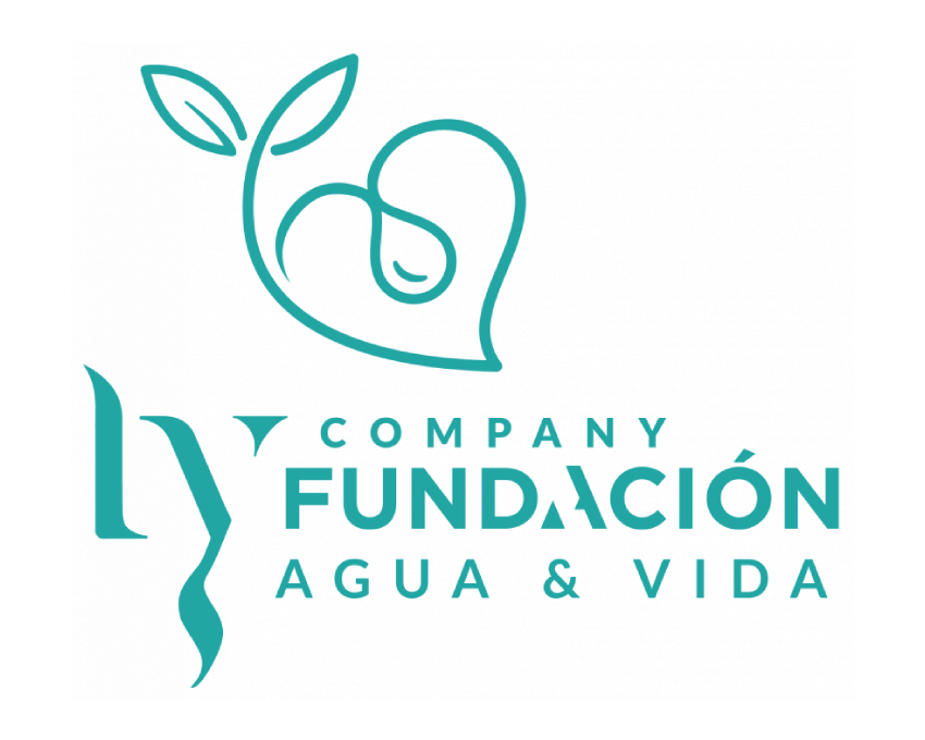 ly company fundación