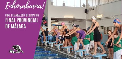 Resultados finales de la fase provincial de Málaga